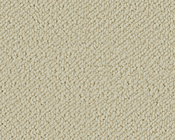 Cotton White SN500 Cotton White SN500