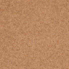 Penthouse Carpets Vermont Dallas 60oz