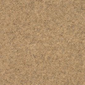 Penthouse Carpets Springtime Cheviot 50oz