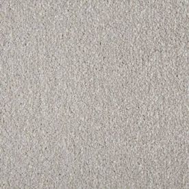 Cormar Carpet Co Primo Plus Misty Morning Cormar Carpet Co Primo Plus Misty Morning