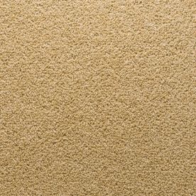 Penthouse Carpets Stateside Florida 40oz