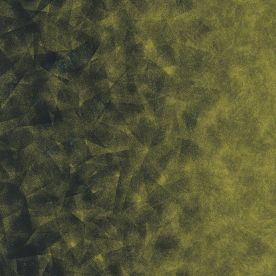 Forbo Flotex by STARCK Carpet Vortex Chartreuse A3 313005