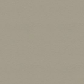 Forbo Safety Surestep Wood Natural Oak 18942