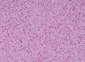 Gerflor Mipolam Affinity 4448 Ruby Gerflor Mipolam Affinity 4448 Ruby