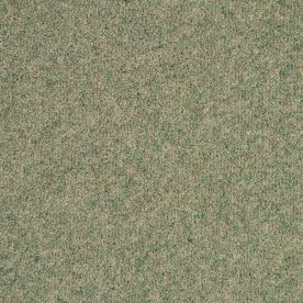 Penthouse Carpets Vermont Greensboro 50oz