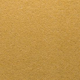 Penthouse Carpets Stateside Hamilton 40oz