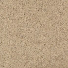 Penthouse Carpets Seasons Fall