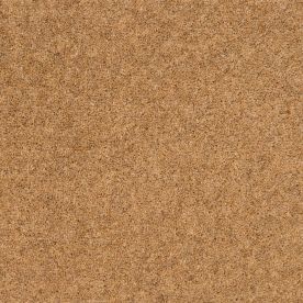Penthouse Carpets Springtime Cheviot 50oz