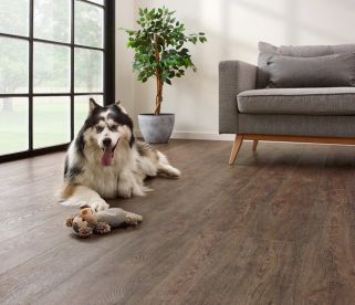 Coretec The Essentials 1500 Series Jasper Oak 01 Coretec The Essentials 1500 Series Jasper Oak 01