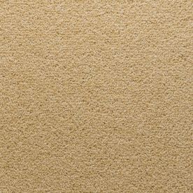Penthouse Carpets Stateside Florida 40oz