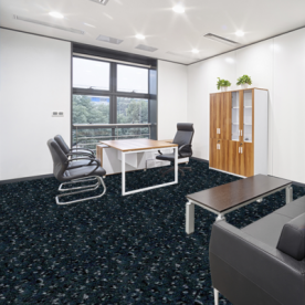 JHS Epsom SD Cut Carpet 279 Dark Grey JHS Epsom SD Cut Carpet 279 Dark Grey