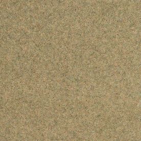 Penthouse Carpets Shoreline Kelp 50oz Penthouse Carpets Shoreline Kelp 50oz