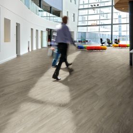 Polyflor Expona Control Light Elm 6506 Polyflor Expona Control Light Elm 6506