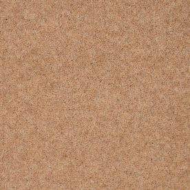 Penthouse Carpets Wentworth Oxted 40oz