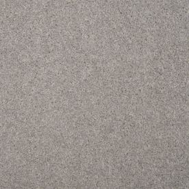 Penthouse Carpets Esprit Nouveau Mercury 50oz