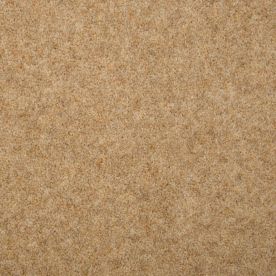 Penthouse Carpets Esprit Nouveau Pegasus 60oz Penthouse Carpets Esprit Nouveau Pegasus 60oz