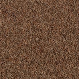 Penthouse Carpets Carlton Arrowroot 42oz
