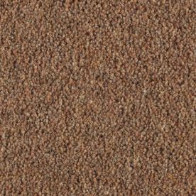 Penthouse Carpets Carlton Almond 36oz