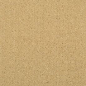 Penthouse Carpets Stratford Diana 50oz