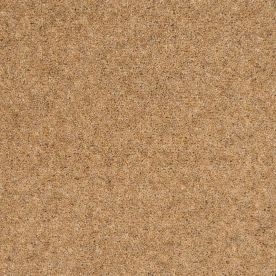 Penthouse Carpets Super Maxim Angelica 50oz