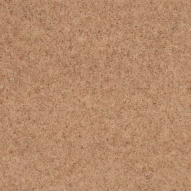 Penthouse Carpets Super Maxim Angelica 50oz Penthouse Carpets Super Maxim Angelica 50oz