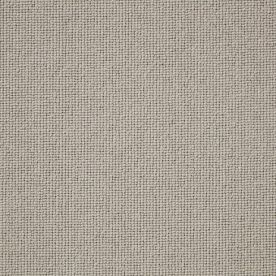 Cement Cement