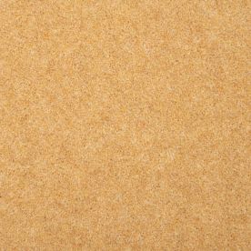 Penthouse Carpets Esprit Nouveau Altair 60oz Penthouse Carpets Esprit Nouveau Altair 60oz