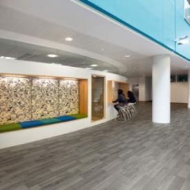 Polyflor Polysafe Wood FX Silver Oak 3357 Polyflor Polysafe Wood FX Silver Oak 3357