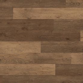 Polyflor Expona Commercial Provence Oak 4113