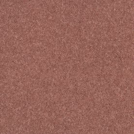 Penthouse Carpets Esprit Nouveau Portia 75oz Penthouse Carpets Esprit Nouveau Portia 75oz