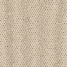 Cormar Carpet Co Primo Textures Canvas