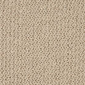 Cormar Carpet Co Primo Textures Boulder Cormar Carpet Co Primo Textures Boulder