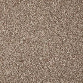Cormar Carpet Co Primo Grande Beaver Cormar Carpet Co Primo Grande Beaver