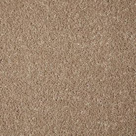 Cormar Carpet Co Primo Grande Lynx Cormar Carpet Co Primo Grande Lynx