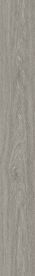 Paragon Rapport 2.5mm Wood Plank Grey French Elm 184.2 X 1219.2 mm