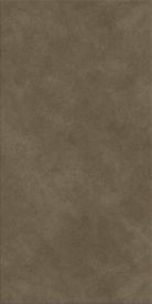 Paragon Rapport 2.5mm Stone Plank Seasoned Concrete 457.2 X 914.4 mm