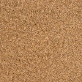 Penthouse Carpets Springtime Cheviot 50oz