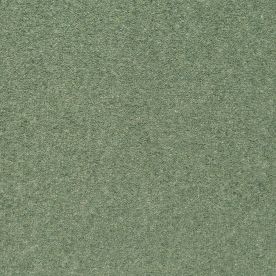Penthouse Carpets Shoreline Kelp 50oz Penthouse Carpets Shoreline Kelp 50oz