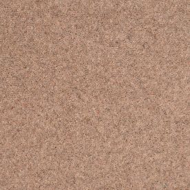 Penthouse Carpets Shoreline Atoll 40oz