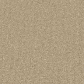 Cormar Carpet Co Silken Serenity Malt Cormar Carpet Co Silken Serenity Malt
