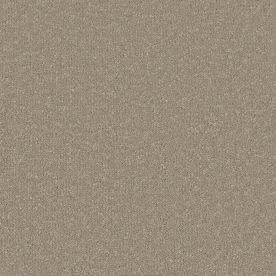 Cormar Carpet Co Silken Serenity Nocciola Cormar Carpet Co Silken Serenity Nocciola