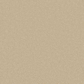 Cormar Carpet Co Silken Serenity Sand Dune Cormar Carpet Co Silken Serenity Sand Dune