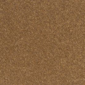 Penthouse Carpets Springtime Cheviot 40oz