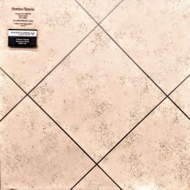 Amtico Spacia Ceramic Frost SS5S1591 Amtico Spacia Ceramic Frost SS5S1591