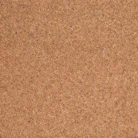 Penthouse Carpets Shoreline Atoll 40oz