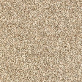 Abingdon Carpets Stainfree Rustique Saxony Thatched Roof Abingdon Carpets Stainfree Rustique Saxony Thatched Roof