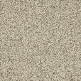 Abingdon Carpets Stainfree Knightsbridge Berber Honeycomb Twist