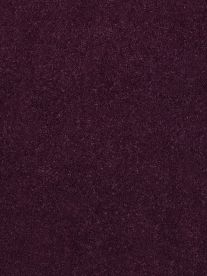 Westex Carpet Ultima Twist Pinnacle Aquamarine Westex Carpet Ultima Twist Pinnacle Aquamarine