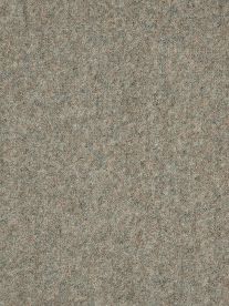 Westex Carpet Ultima Twist Ultima Bracken Westex Carpet Ultima Twist Ultima Bracken