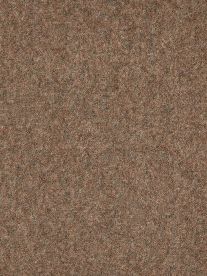Westex Carpet Ultima Twist Ultima Bracken Westex Carpet Ultima Twist Ultima Bracken